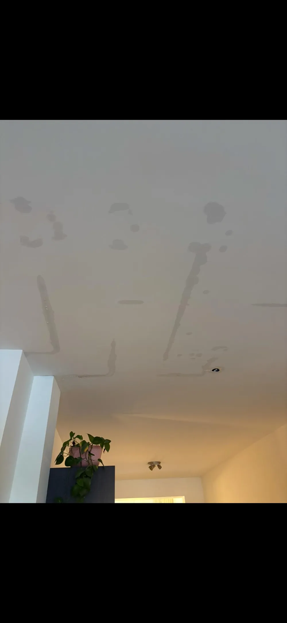 Plafond met gevulde naden en schroefgaten
